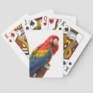 Jeu De Cartes Coloré Macaw Chic Classy Mod Tropical