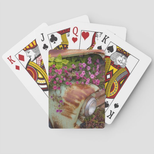 Jeu De Cartes Columbia Falls (dos)