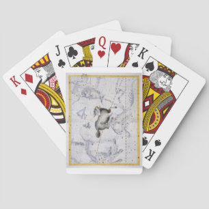 Jeu De Cartes Constellation des baies, plaque 4 de 'Atlas Coeles