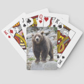 Jeu De Cartes Cook bear (dos)