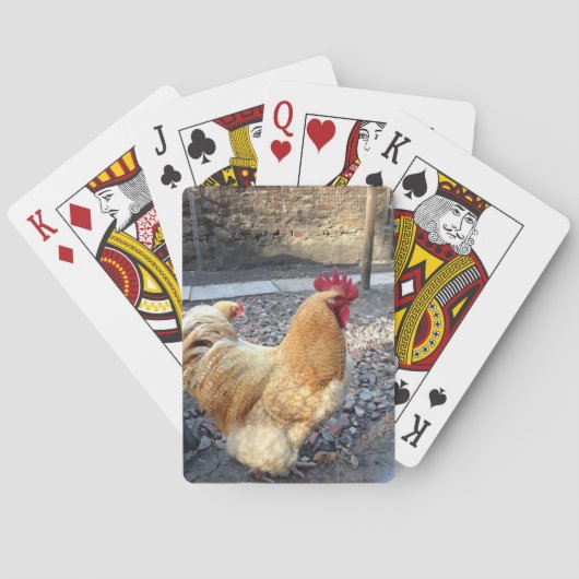 Jeu De Cartes Coq (dos)