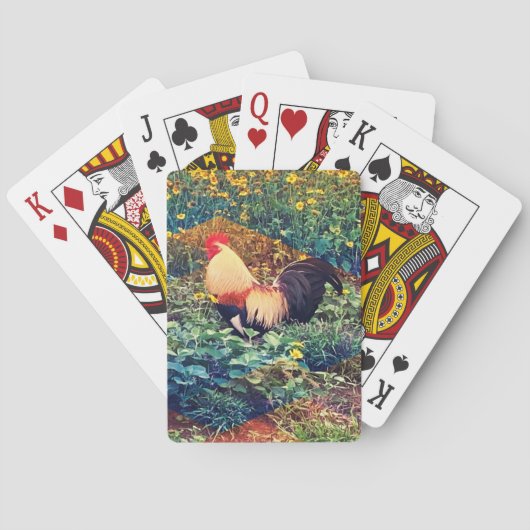 Jeu De Cartes Coq hawaïen (dos)