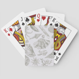 Jeu De Cartes Coquillage gris sauge doux croquis Antique Nature