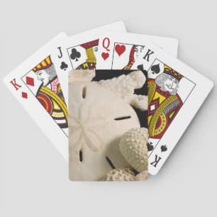 Jeu De Cartes Coquillages Blancs Et Dollar De Sable