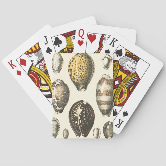 Jeu De Cartes Coquillages uniquement formés (dos)