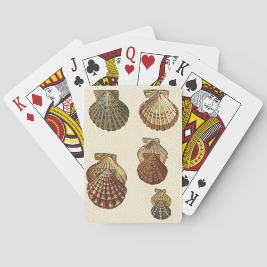 Jeu De Cartes Coquilles antiques craquelées (dos)