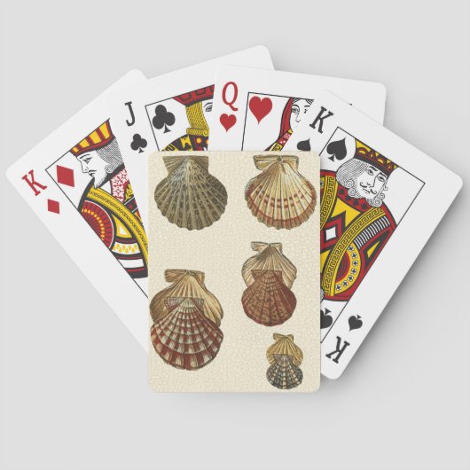 Jeu De Cartes Coquilles antiques crépitées (dos)