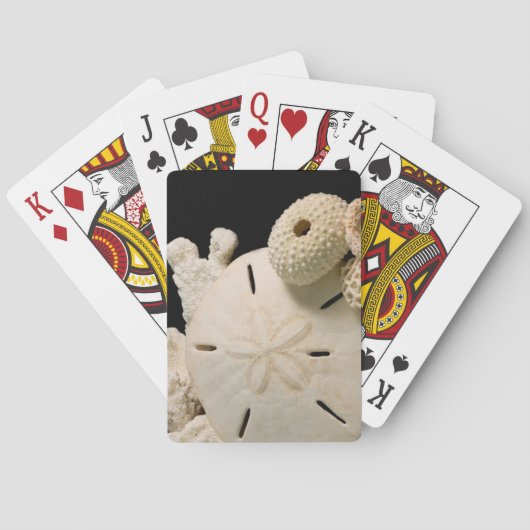 Jeu De Cartes Coquilles blanches et dollar de sable (dos)