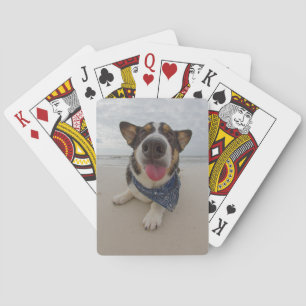 Jeu De Cartes Corgi mignon avec la langue