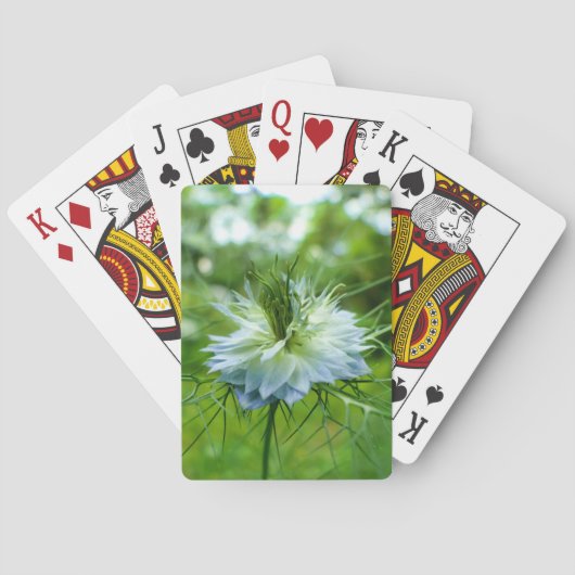 Jeu De Cartes Corne (dos)