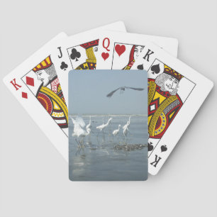 Jeu De Cartes Corneille noire et grues blanches : un contraste d