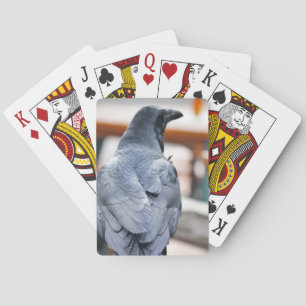 Jeu De Cartes Corneilles