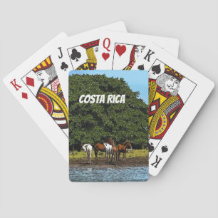 Jeu De Cartes Costa Rica - Chevaux au bord de l'eau