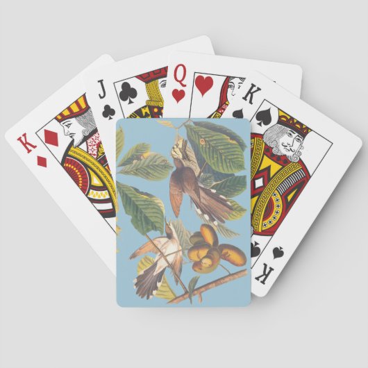 Jeu De Cartes Coucou à bec jaune Audubon (dos)