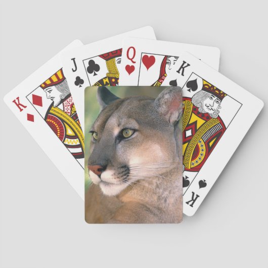 Jeu De Cartes Cougar, Californie (dos)
