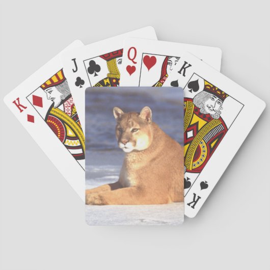 Jeu De Cartes Cougar Repose (dos)