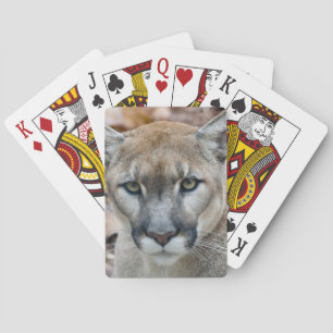 Jeu De Cartes Couguar, lion de montagne, panthère de Floride, Pu