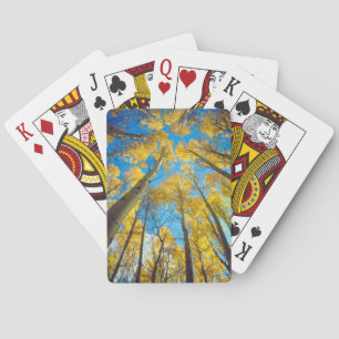Jeu De Cartes Couleurs d'automne des arbres d'Aspen 2