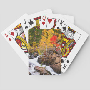 Jeu De Cartes Couleurs d'automne le long de Bishop Creek, CA