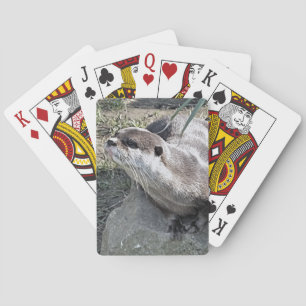 JEU DE CARTES COUPER OTTER