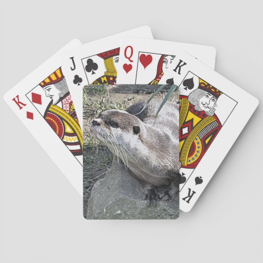 JEU DE CARTES COUPER OTTER (dos)