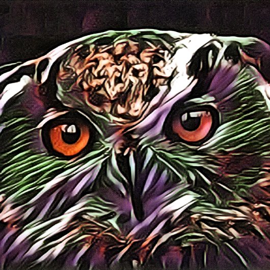 JEU DE CARTES COUPER OWL