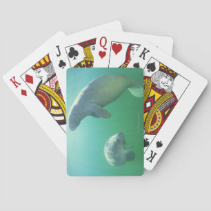 Jeu De Cartes Couple de lamantins de Floride nageant