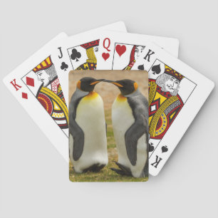 Jeu De Cartes Couple de manchots royaux, Falklands