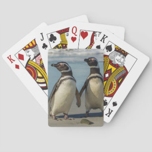 Jeu De Cartes Couple de manchots sur la plage