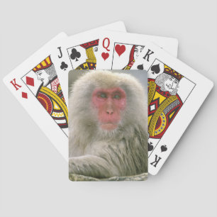 Jeu De Cartes Couple de singe des neiges, Macaque japonais