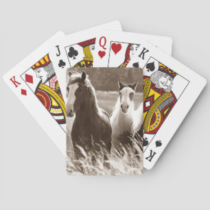 JEU DE CARTES COURSE DES CHEVAUX DANS LES CARTES DE JEU SUR LE T