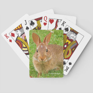 Jeu De Cartes Couteau Bunny Chewing Greens sur le Golf Fairway