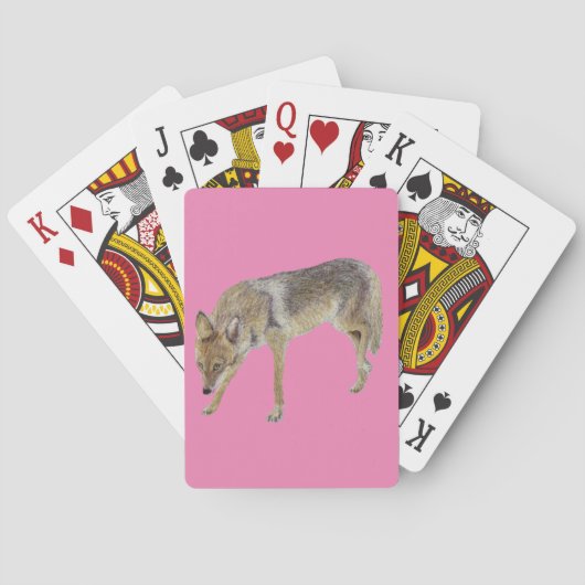 Jeu De Cartes Coyote (dos)