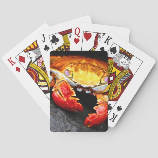Jeu De Cartes Crabe de Galapagos (dos)
