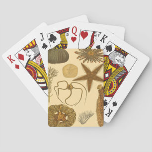 Jeu De Cartes Créatures sous-marines