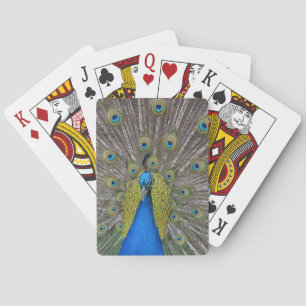 Jeu De Cartes Créez votre propre