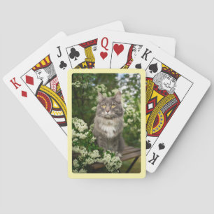 Jeu De Cartes Créez votre propre photo de bordure de crème