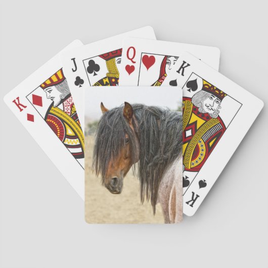 Jeu De Cartes Crinière de cheval (dos)