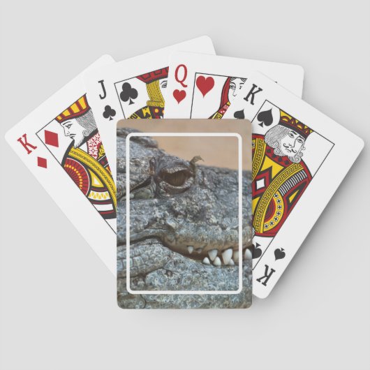 Jeu De Cartes Crocodile (dos)