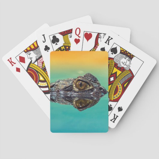 Jeu De Cartes Crocodile bébé vert dans l'eau avec bleu et orange (dos)