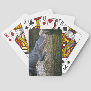 Jeu De Cartes Crocodile foncé avec une réflexion claire dans l'e