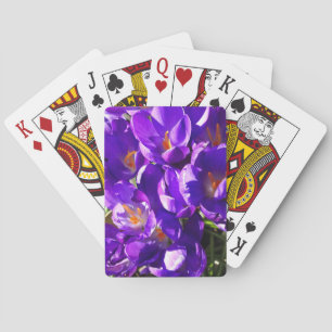 JEU DE CARTES CROCUS DE PRINTEMPS