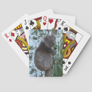 Jeu De Cartes Cudely Koala Tree Animal Wildlife Australie