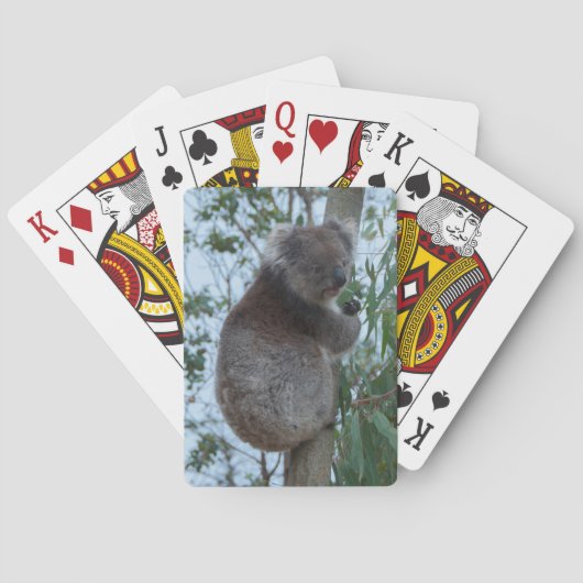 Jeu De Cartes Cudely Koala Tree Animal Wildlife Australie (dos)