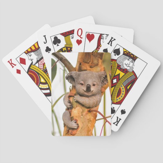 Jeu De Cartes Cuisine et belle Koala (dos)