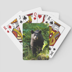Jeu De Cartes Curieux ours noir