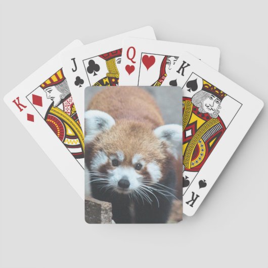 Jeu De Cartes Cute (dos)