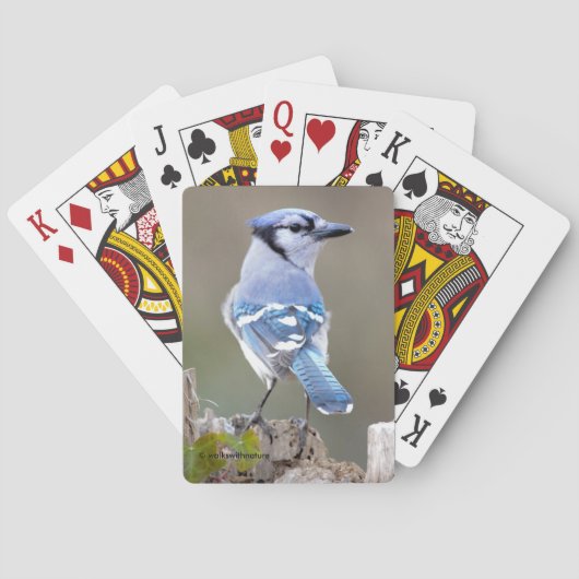 Jeu De Cartes Cute Bleu Jay Songbird sur Treestump (dos)