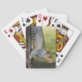 Jeu De Cartes Cute écureuil gris de l'Est Nature Photo (dos)