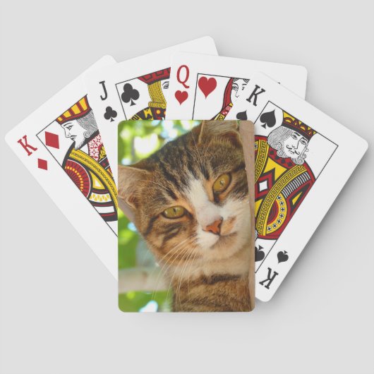 Jeu De Cartes Cute Escalade de chat un arbre (dos)